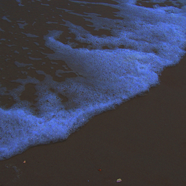 Twilight On The Beach, C. A. Hoffman