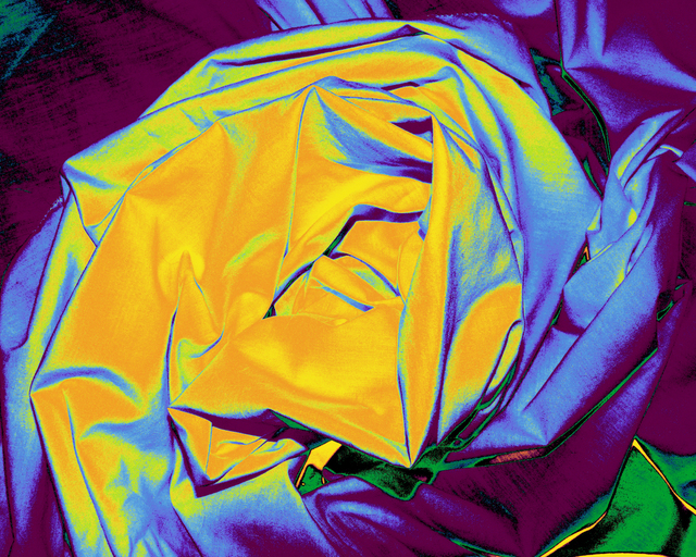 Artist C. A. Hoffman. 'Vincente Flora' Artwork Image, Created in 2009, Original Drawing Pencil. #art #artist