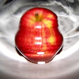 Wormhole Apple Ii, C. A. Hoffman