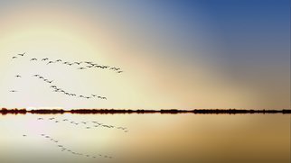 Jean Dominique  Martin: 'flying birds reflection', 2018 Digital Photograph, Landscape. Kakadu Part North Territory Australia- Flying Birds Sunrise...