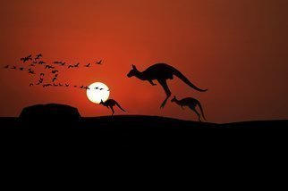 Jean Dominique  Martin: 'kangaroo sunset', 2019 Digital Photograph, Landscape. Australia Ayears Rock Sunset Outback Kangaroo ...
