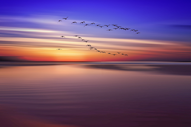 Artist Jean Dominique  Martin. 'Sunrise Ocean Fling Birds' Artwork Image, Created in 2021, Original Photography Mixed Media. #art #artist