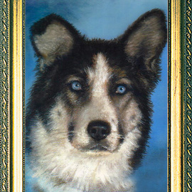 Michael Pickett: 'Blue Eyes ', 2002 Acrylic Painting, Animals. 