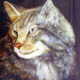 Michael Pickett: 'Cat Eyes', 1982 Acrylic Painting, Cats. 