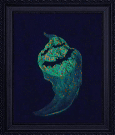 Artist Michael Pickett. 'Spirit Of Halloween, Glow In The Dark' Artwork Image, Created in 2012, Original Photography Other. #art #artist