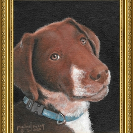 Michael Pickett: 'natsu', 2020 Acrylic Painting, Dogs. Artist Description: This is a Painting of  Natsu  The Bloodhound Lab Puppy. . You can learn how to paint this Painting. . Go to www. pickettonline. com and click on the You- Tube link...