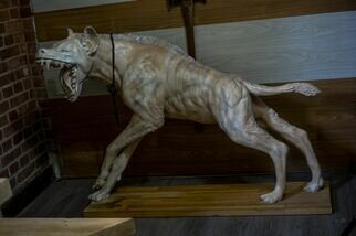Alex Bogdyl: 'crokuta', 2023 Mixed Media Sculpture, Animals. reconstruction of the appearance of an extinct hyena - Dino Crokuta...