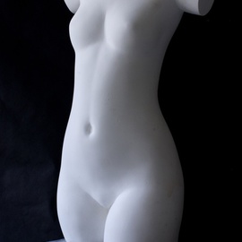 Penko Platikanov: 'Torso', 2013 Other Sculpture, Figurative. 