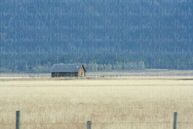 Tracy Brown  'Signed Print Of Cabin In The Wheat Field ', created in 2009, Original Photography Color.