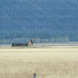 cabin in the wheat field By Tracy Brown