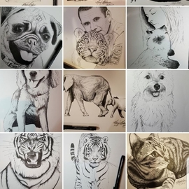 Maryjo Maddison: 'custom pointillism drawing', 2019 Drawings, Animals. Artist Description: Pointillism Drawings of any picture or combining of pictures to make a custom drawing.  The Artwork image is a sample of my work. ...
