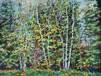 Richard Knox: 'The 3 Graces', 2009 Acrylic Painting, Landscape.  Three birch 