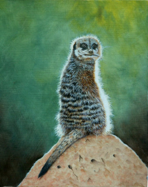 Artist Stephen Powell. 'Meerkat' Artwork Image, Created in 2007, Original Painting Oil. #art #artist