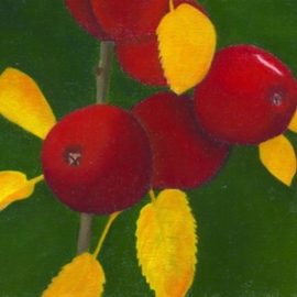 Yiqi Li: 'Apples', 2008 Oil Painting, Botanical. Artist Description:  The painting is in realism style and it is original oil on canvas. It is signed by artist. ...