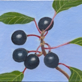 Yiqi Li: 'Berrys', 2008 Oil Painting, Botanical. Artist Description:  The painting is in realism style and it is original oil on canvas. It is signed by artist. ...