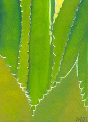 Yiqi Li: 'Cactus 2', 2008 Oil Painting, Botanical.  The painting is in realism style and it is original oil on canvas. It is signed by artist. ...