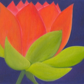 Yiqi Li: 'Lotus 1', 2008 Oil Painting, Floral. Artist Description:  This painting is one of the set of four Lotus. The painting catches the beauty of a lotus flower. This painting is original oil on canvas and it is signed by artist. ...