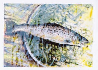 Roger Farr: 'Landing The Brownie', 1999 Acrylic Painting, Fish. Wet on wet with acrylics, this was a refreshing way to paint with a pallete knife. Spontanius, from a days fishing at Lake Vyrnwy in Wales. One of my favorite hobbies flyfishing. The reflected water was glazed on top later. Prints available at $80. 00 each...