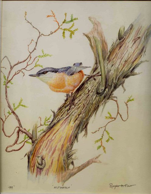Roger Farr  'Nuthatch', created in 1999, Original Painting Acrylic.