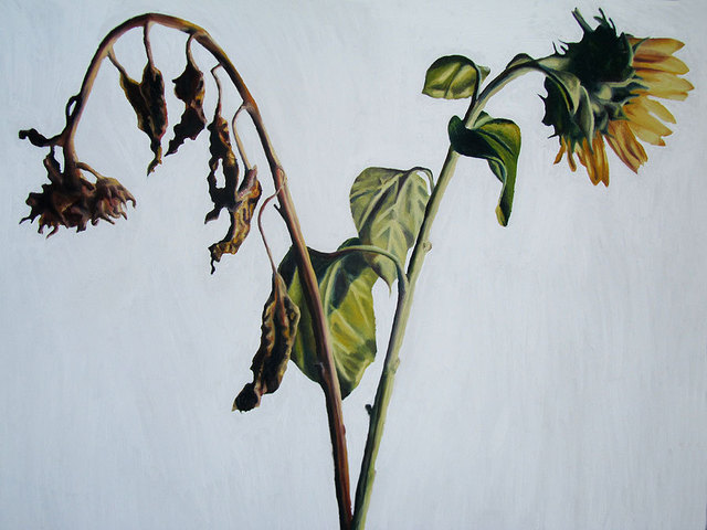 Artist Raphael Perez  Israeli Painter . 'Suflowers Painting Realistic  Flowers Art Paintings' Artwork Image, Created in 2016, Original Photography Color. #art #artist