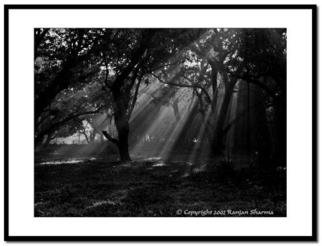 Ranjan Sharma: 'Ray of hope', 2006 Black and White Photograph, Landscape. 