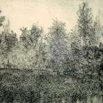 Robin Richard Emrich: 'North Woods', 2002 Etching, Landscape. The North Woods, highly detailed done inthe field using a mirror....
