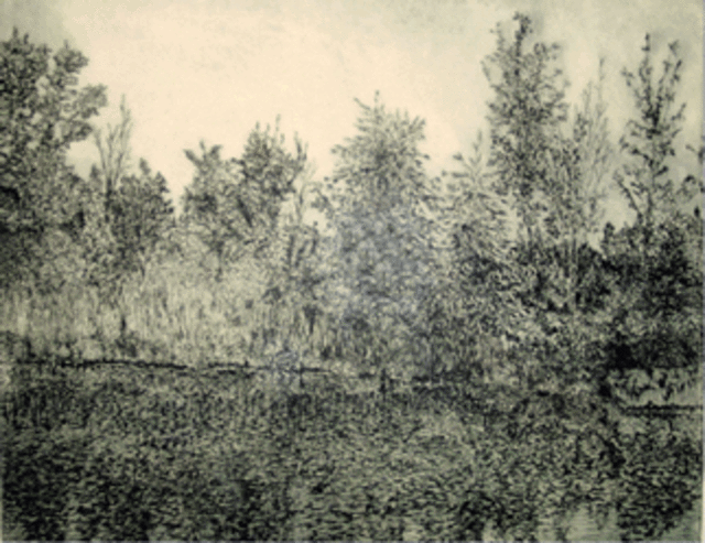 Robin Richard Emrich  'North Woods', created in 2002, Original Printmaking Etching - Open Edition.