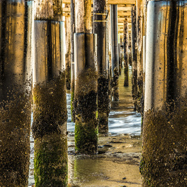 Dick Drechsler: 'under the boardwalk', 2018 Mixed Media Photography, Seascape. Artist Description: This photograph was taken under the Ventura Pier in Southern California. It is printed here in aluminum which brings out the luster of the shiny pilings. ...