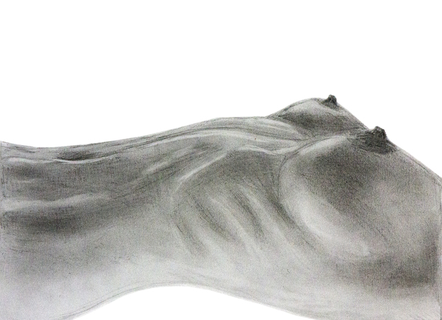 Ricardo Saraiva  'Nude', created in 2014, Original Drawing Pencil.
