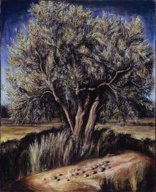 Riccardo Rossati  'Olive Tree', created in 2006, Original Painting Oil.