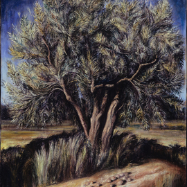 Olive Tree, Riccardo Rossati