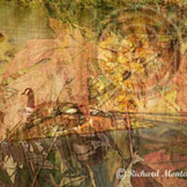 Richard Montemurro: 'AUTUMN LEAVES', 2008 Color Photograph, Surrealism. Artist Description:  Leaves and ducks combined for an Autumn image. ...