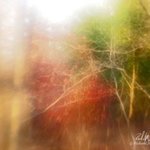 Impressions Of Autumn 3, Richard Montemurro