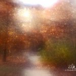 Impressions Of Autumn 4, Richard Montemurro