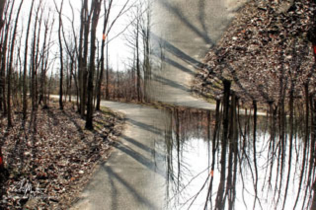Artist Richard Montemurro. 'Woodland Composite' Artwork Image, Created in 2011, Original Computer Art. #art #artist