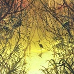 mangrove sunset with crane By Rigel Sauri