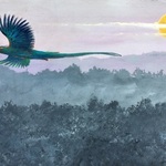 quetzal flight By Rigel Sauri