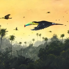 toucans flight By Rigel Sauri