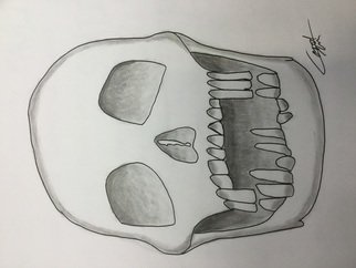 Riley Mosteller: 'skull', 2018 Pencil Drawing, Death. ItaEURtms a skull...