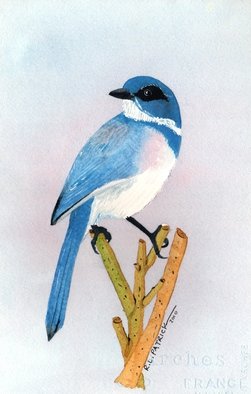 Ralph Patrick: 'Bluebird', 2010 Watercolor, Birds. Artist Description:      Birds, Watercolor, Original     ...