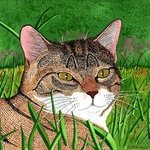 Cat in the Grass By Ralph Patrick