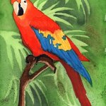 Parrot By Ralph Patrick