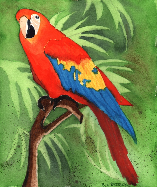 Artist Ralph Patrick. 'Parrot' Artwork Image, Created in 2009, Original Watercolor. #art #artist