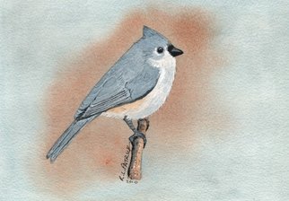 Ralph Patrick: 'Tufted Titmouse', 2010 Watercolor, Birds.     Birds, Watercolor, Original    ...