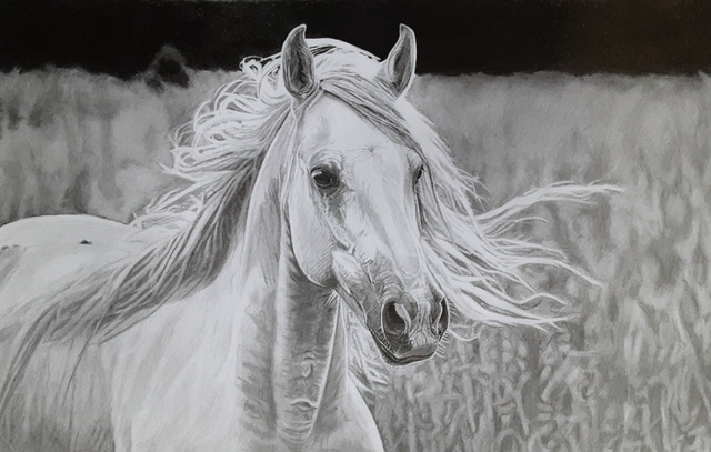 Artist Robb Scott. 'Horses' Artwork Image, Created in 2023, Original Drawing Pencil. #art #artist