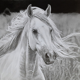 Robb Scott: 'Horses', 2023 Pencil Drawing, Figurative. Artist Description: My wife asked me to drawing a horse head.  So this is the one I came up with. ...
