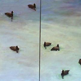 Rod Bax: 'coot landscape', 2011 Oil Painting, Birds. Artist Description:  diptych study of australian coots  ...