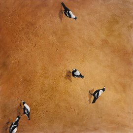Rod Bax: 'magpie landscape', 2014 Oil Painting, Landscape. Artist Description: oil painting wildlife...
