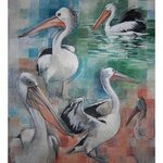 pelican study By Rod Bax