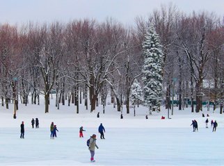 Ronnie Caplan: 'Skating on Beaver Lake', 2014 Color Photograph, Landscape.  The lake atop Mount Royal in Montreal freezes over in the wintertime, as families take over for the ducks of summer, skimming over the surface on blades. ...